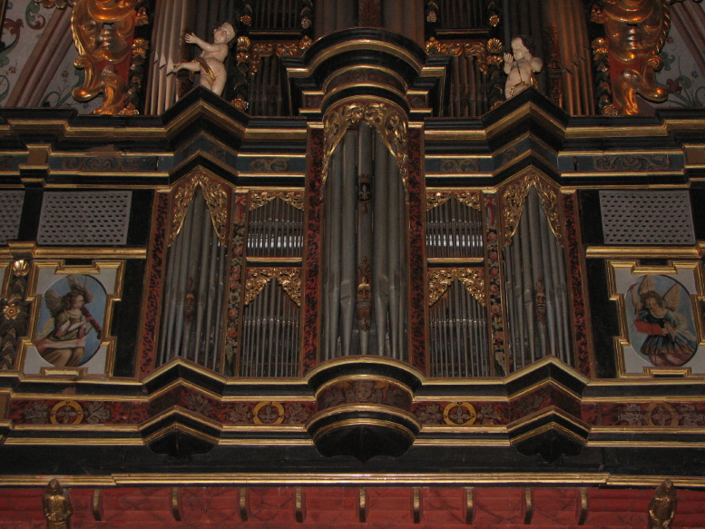 Organ1